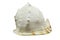 Horned Helmet Shell or Cassis cornuta