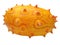 Horned melon fruit