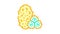 horned melon fruit color icon animation