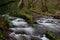 Horner woods in Devon