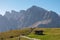 Hornischegg - Herd of wild horses grazing on alpine meadow with scenic view of Sextner Rotwand, Sexten Dolomites