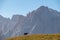 Hornischegg - Lone wild black horse grazing on alpine meadow with scenic view of Sextner Rotwand