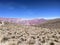 Hornocal's Palette: A Symphony of 14 Colors. Jujuy, Argentina