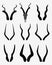 Horns of antelopes 2