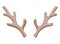 Horns. Hunting trophy. Vector horned wild animal. Pairs of antlers. Vector illustration of hunted animal, wildlife