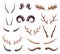 Horns set. Hunting trophys. Vector horned wild animals. Pairs of antlers. Vector illustration of hunted animals