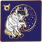 Horoscope.Taurus zodiac sign