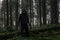A horror concept of a spooky winter forest with a scary hooded figure with glowing eyes standing next to a fallen tree