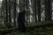 A horror concept of a spooky winter forest with a spooky hooded figure standing next to a fallen tree