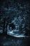 Horror concept, a trail to a scary dark fairytale night black forest among the trees with mystical paronormal blue