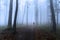 Horror dark man in silhouette in spooky foggy forest