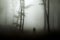 Horror dark man in silhouette in spooky foggy forest