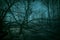 Horror dense ghostly dark forest. Scary creepy night landscape with clumsy tree branches against the backdrop of the moonlight,