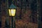 Horror fairy tale mystic dramatic autumn forest lamp post yellow illumination lighting and dark twilight unfocused blurred scenic