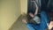 Horror, a girl crawls away from her investigator, falling to the floor in the corridor of her house.