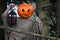 Horror pumpkin with a scythe