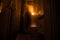 Horror silhouette of person in window. Scary halloween concept Blurred silhouette of witch in bathroom. Decorated with fireworks