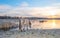 Horse along the shore of a frozen lake