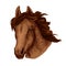 Horse animal muzzle vector sport team mascot icon