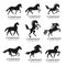 Horse animals logo vector