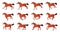 Horse animation. Cartoon horses running gait movements animate frames, walking or galloping race sequence cycle 2d