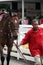 Horse being led through the crowds to the starting line,Saratoga Racetrack, Saratoga Springs,New York,2014