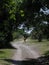 A horse blocking the road