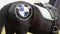 Horse with BMW logo on crupper at autodrome, joke, close-up
