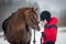 Horse and boy - child riding horseback