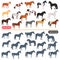 Horse breeds color flat icons set. Horse black silhoutte simple icons set