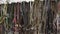 Horse bridles hanging in a barn.