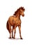 Horse brown foal or stud vector sketch for racing