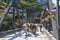 Horse caravan across a bridge in Nepal