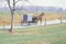 A horse and carriage in an Amish farming community