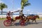 Horse carriage in Cozumel promenade, Mexico