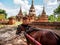Horse carriage and Daw Gyan Pagoda complex, Ava, Myanmar 6