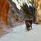 Horse carriage in a gorge, Siq canyon in Petra