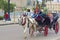 Horse carriage in Havana, Cuba