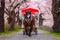 A Horse carriage at Kitakami Tenshochi park with Full bloom Sakura