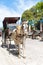 Horse carriage in Old Havana