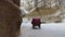 Horse carriage passing through the stone canyon of Siq in the Unesco heritage site of Petra