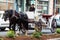 Horse carriage on Pioneer Square, Seattle, WA