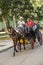 Horse carriage ride Havana