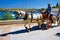 Horse carriage rider in the old harbor of Spetses island