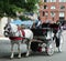Horse carriage rides offered in Boston Harbor