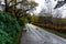 Horse carriage in road in garden of Muckross House in Ireland