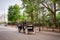 Horse carriage on road at Volksgarten in Vienna