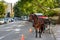 Horse carriage is staying at street of Marbella town, Spain