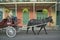 Horse Carriage and tourists in French Quarter of New Orleans, Louisiana