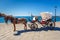 Horse carriage for transporting tourists